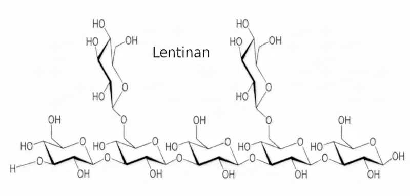 Chemical structure of Lentinan, a polysaccharide from shiitake mushrooms